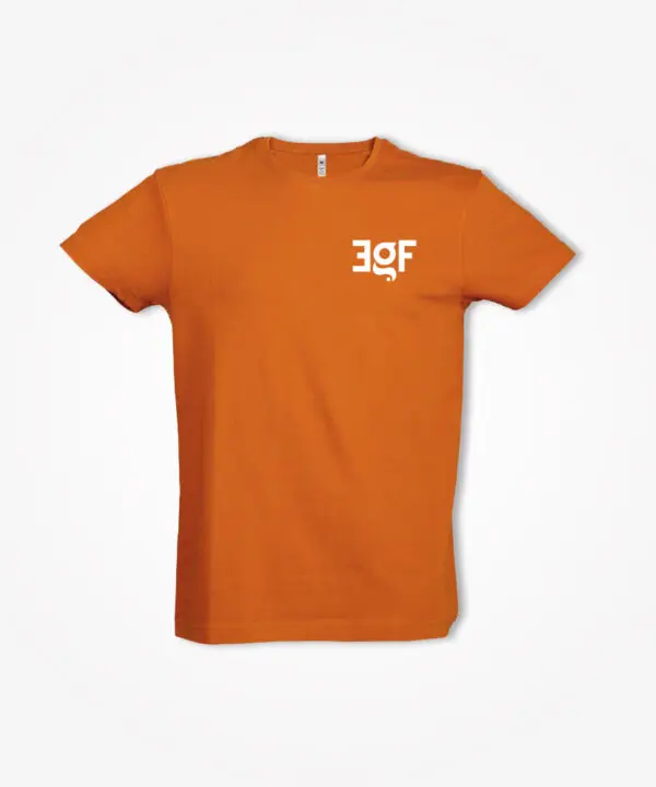T-shirt basic tipo 3